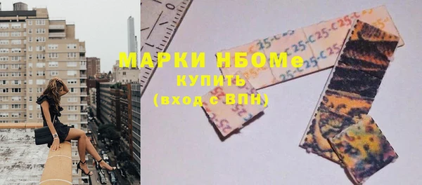 ECSTASY Алзамай