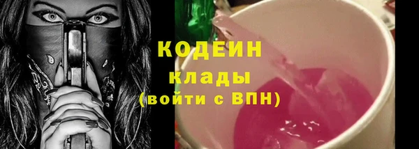 ECSTASY Алзамай