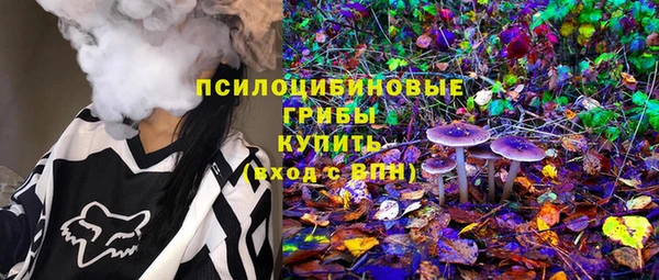 ECSTASY Алзамай