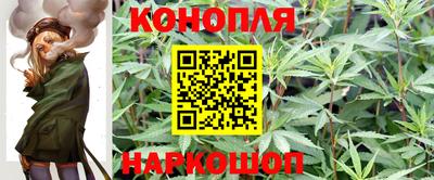 прущие крисы Можайск