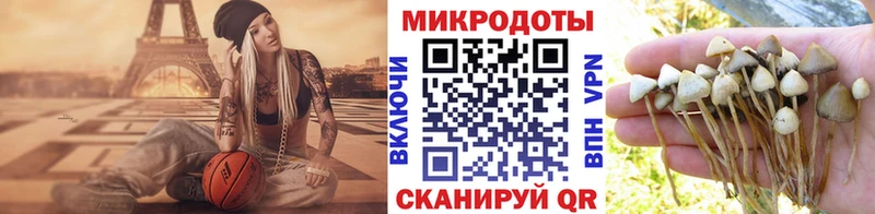Псилоцибиновые грибы Cubensis Томск