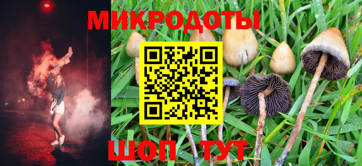 Галлюциногенные грибы GOLDEN TEACHER  Галлюциногенные грибы Cubensis  Вход с VPN  Томск 