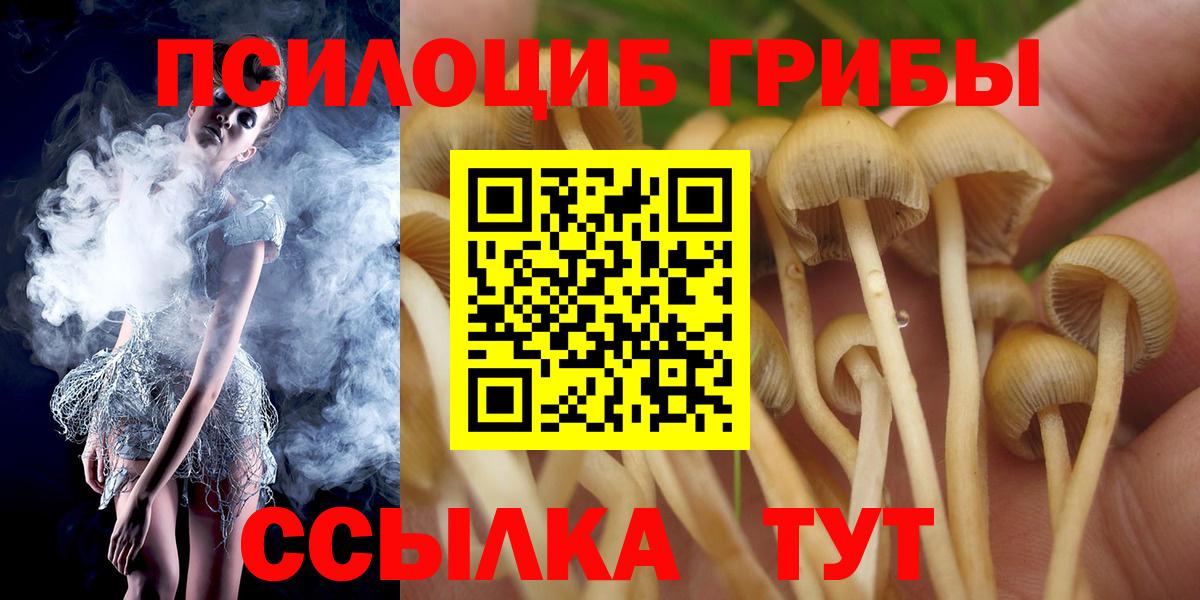 Псилоцибиновые грибы Magic Shrooms Томск
